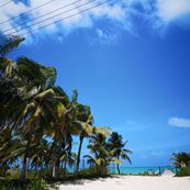 punta allen