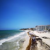 playa del carmen