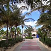 Boa Vista