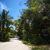 punta allen