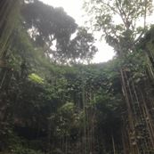 cenote Ik Kil