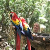 Xaman - Ha Aviary