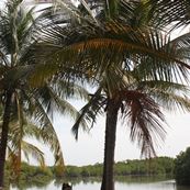 IMG_4949