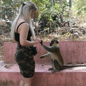 Bijilo Monkey Forest