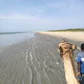 Tanji