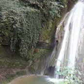 molina 