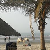 Kololi Beach